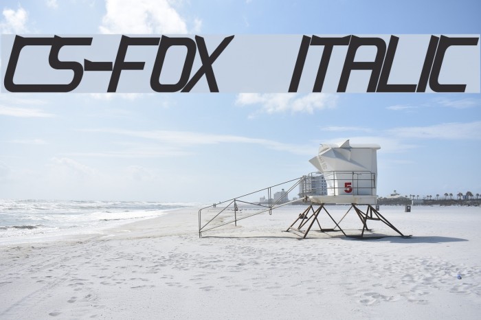 CS-Fox Italic Schriftart examples