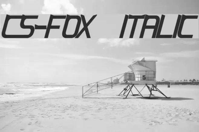 CS-Fox Italic Polices examples