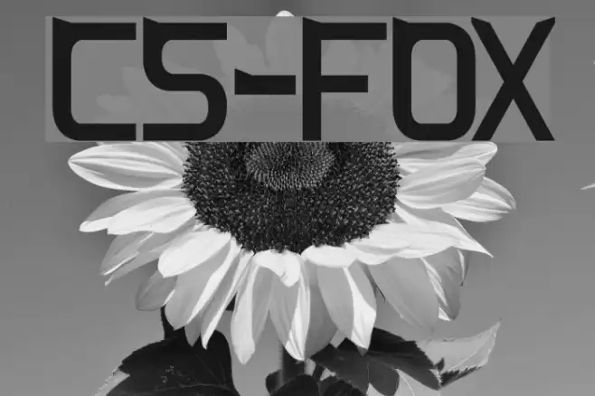 CS-Fox Font examples