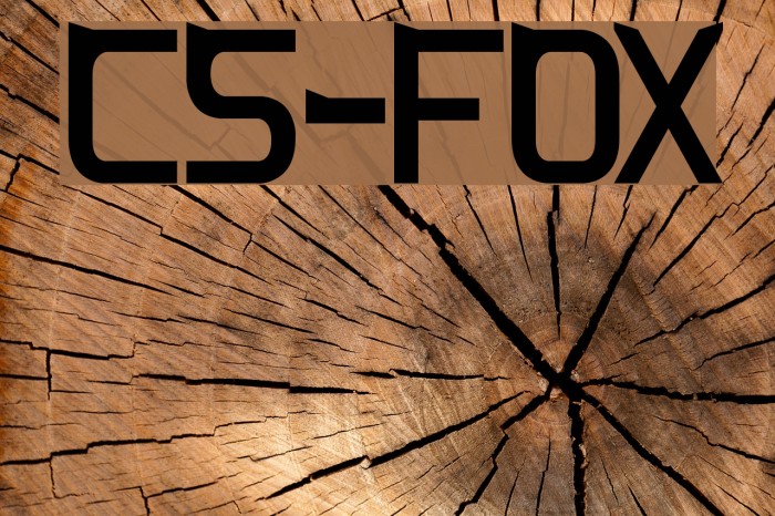 CS-Fox Example 3