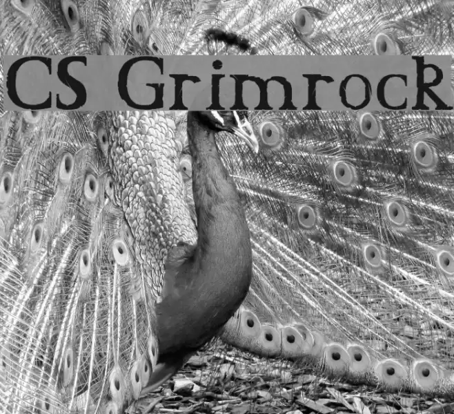 CS Grimrock Font examples