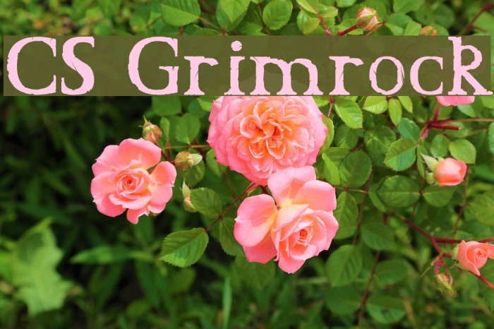 CS Grimrock Example 3