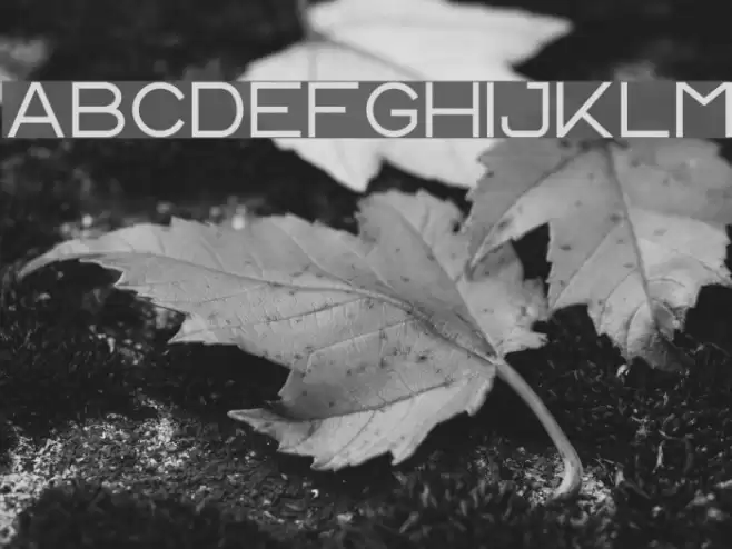 CS Harley Font examples