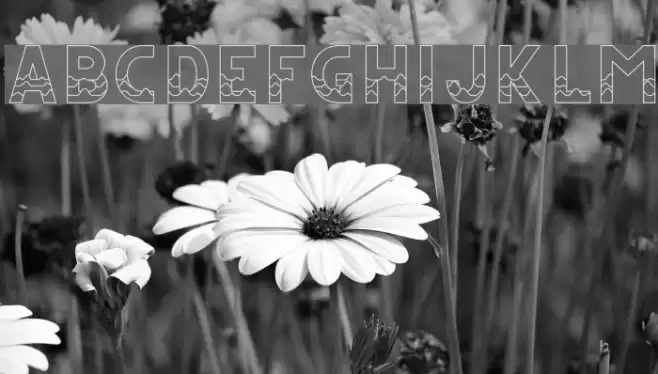 CS Juicy Font examples