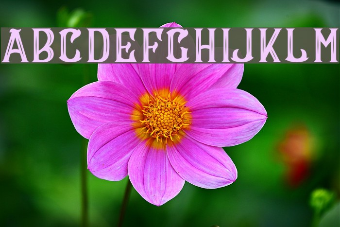 CS Maria Inner Font examples