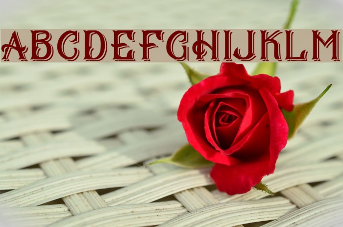 CS Mulan Double Example 1