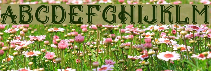 CS Mulan Double Example 3