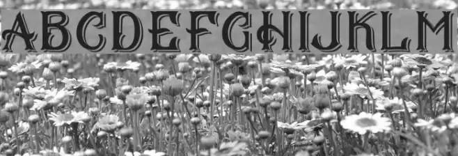 CS Mulan Double Font examples