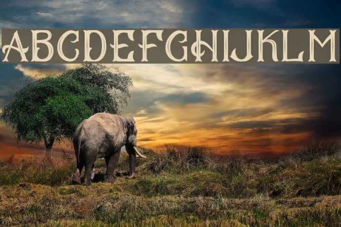 CS Mulan Inner Example 2