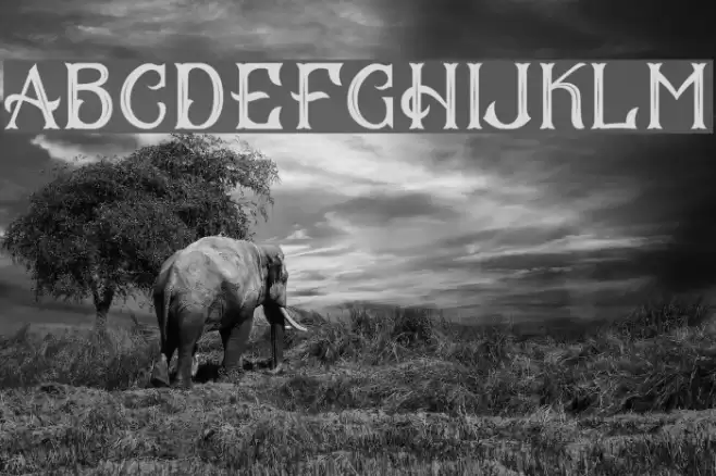 CS Mulan Inner Font examples