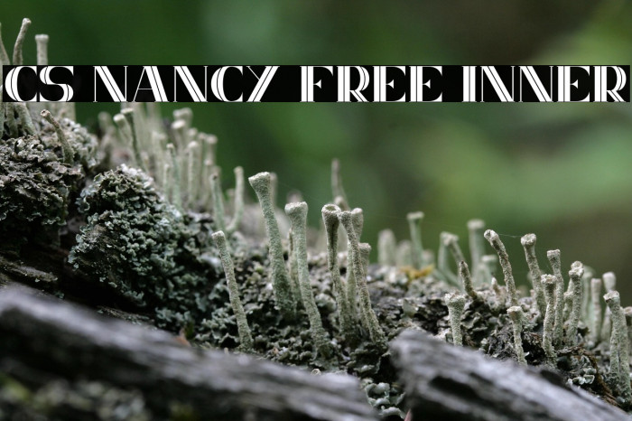 CS Nancy Free Inner Example 1