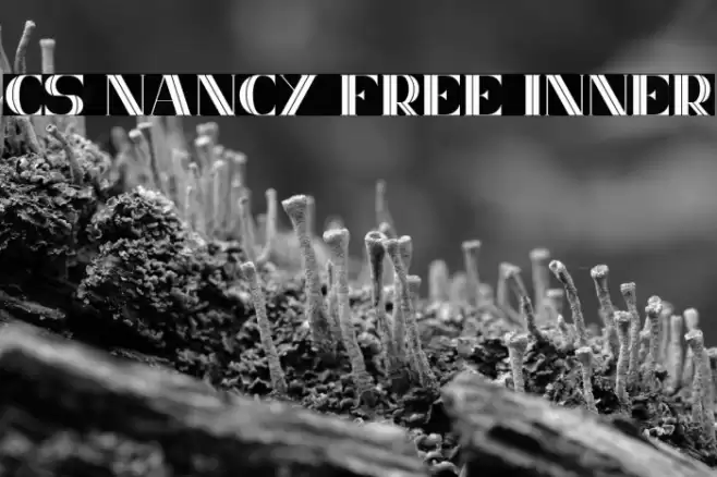 CS Nancy Free Inner Font examples