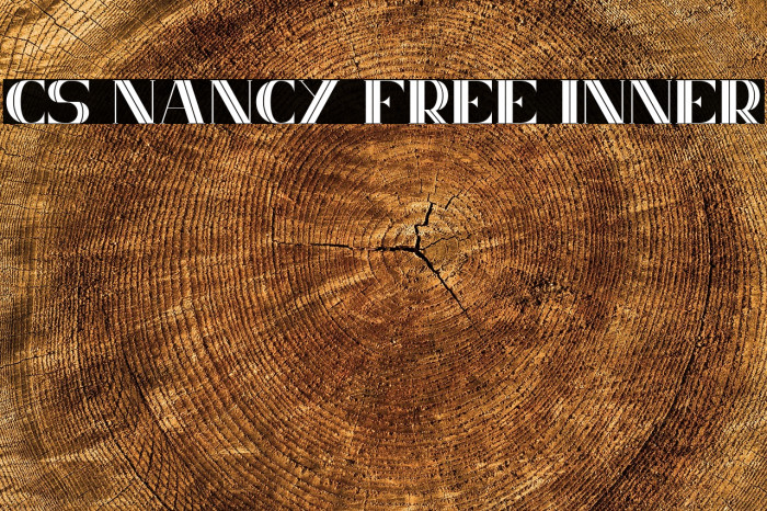 CS Nancy Free Inner Example 2