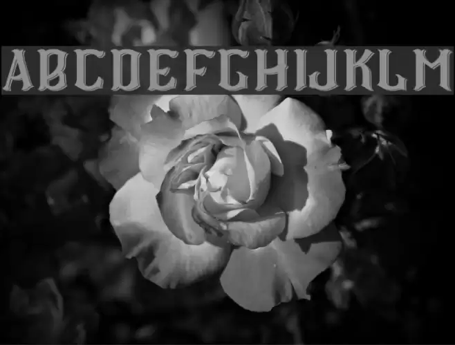 CS Roger Double Font examples