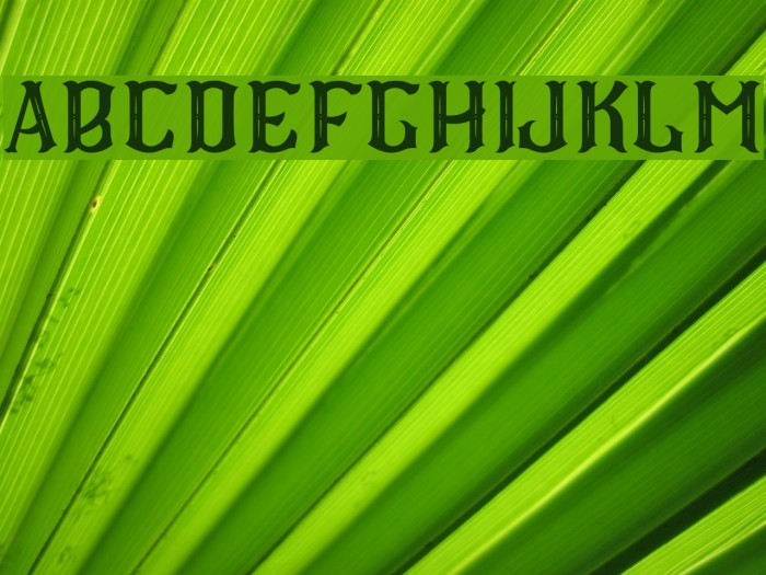 CS Roger Inner Font examples