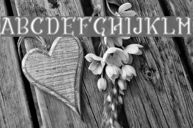 CS Rosalia Dropline Font examples