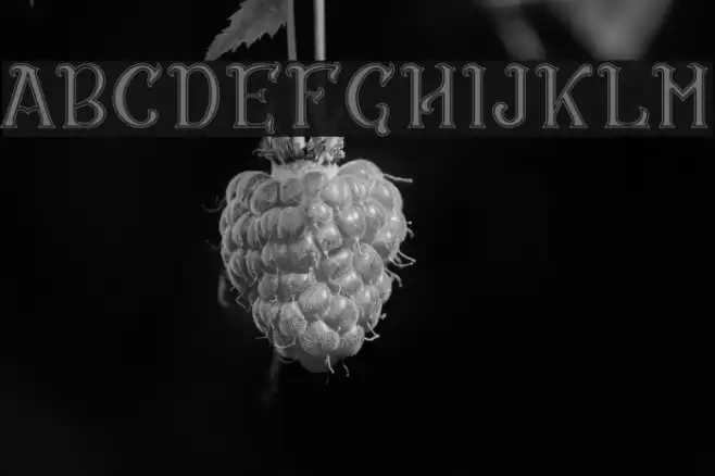 CS Rosalia Dropline Font examples