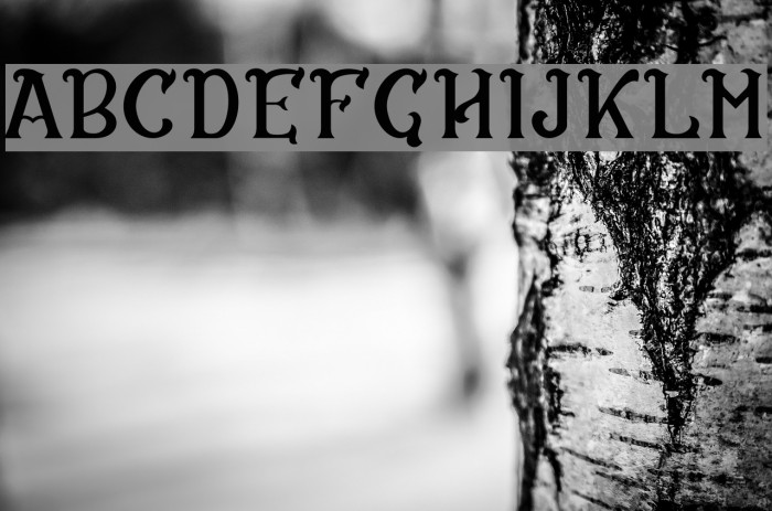 CS Rosalia Example 3