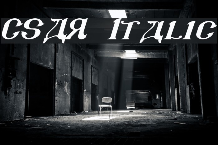 CSAR Italic Font examples
