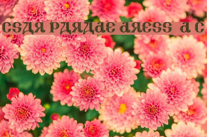 CSAR PARADE DRESS [Display Caps] Example 1