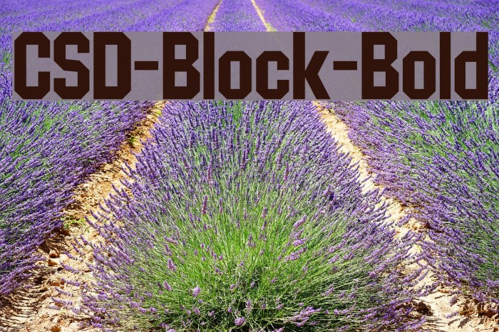 CSD-Block-Bold Font examples