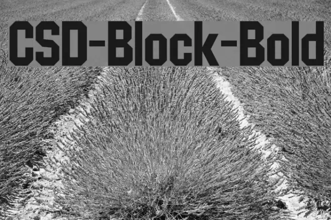 CSD-Block-Bold Font examples
