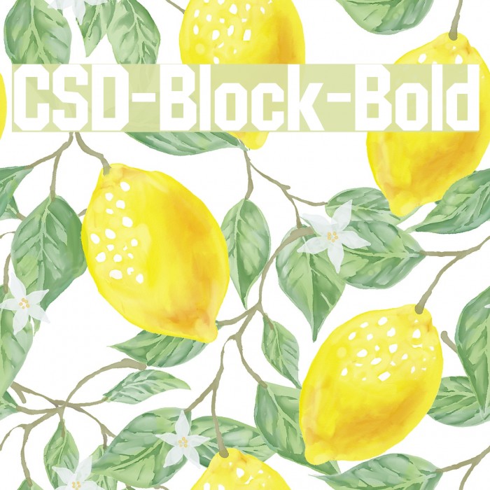 CSD-Block-Bold Font examples