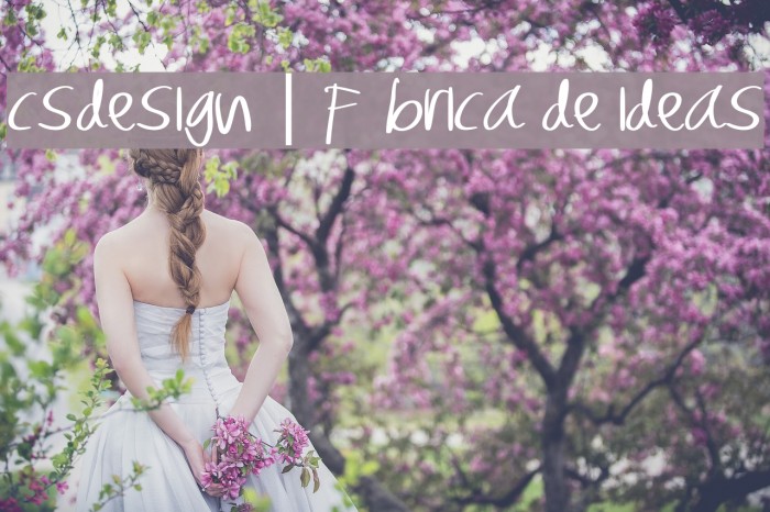 CSDESIGN | Fábrica de ideas Schriftart examples