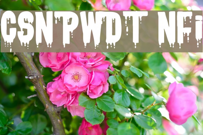CSNPWDT NFI Font examples