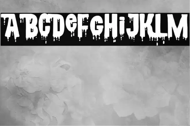 CSNPWDTNFI フォント examples