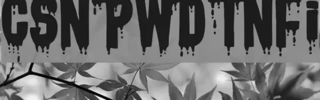 CSNPWDTNFI Font examples