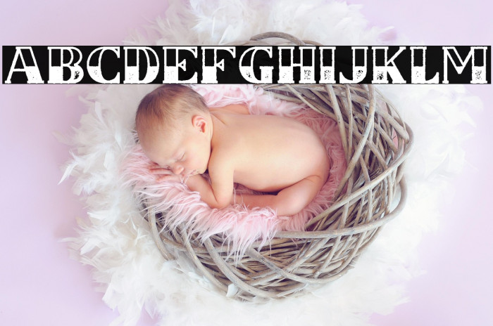 CSNancyFree-HalfblockRough Example 3