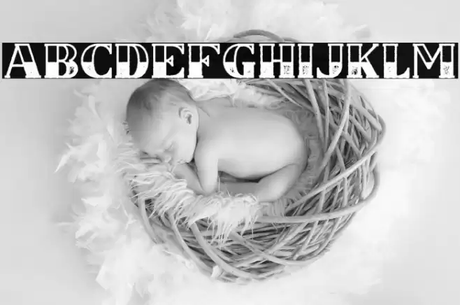 CSNancyFree-HalfblockRough Font examples