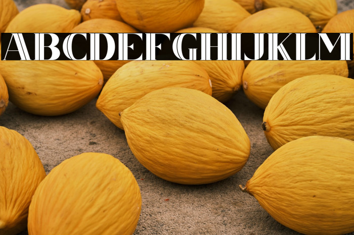 CSNancyFree-Inner Example 2