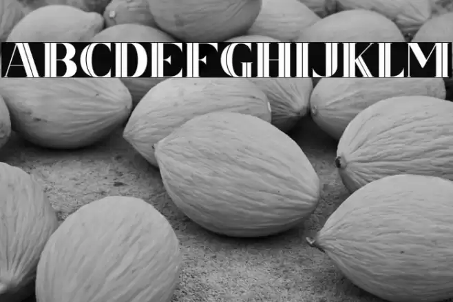 CSNancyFree-Inner Font examples