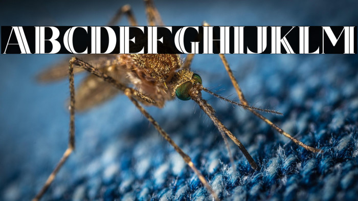 CSNancyFree-Inner Example 3