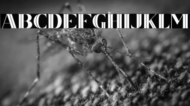 CSNancyFree-Inner Font examples