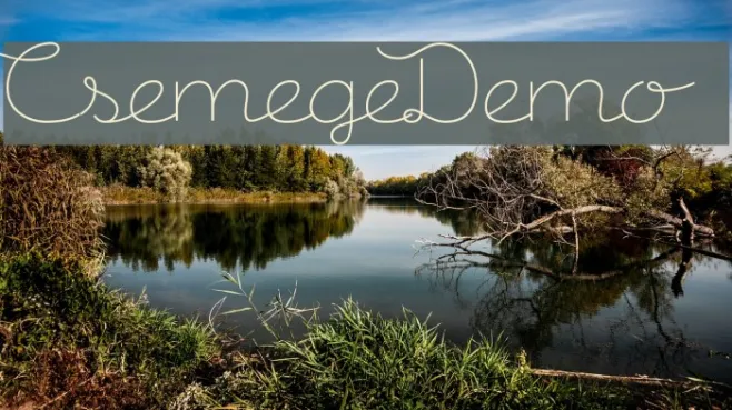 CsemegeDemo Example 3