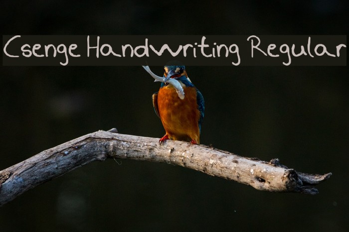 Csenge Handwriting Regular Font examples
