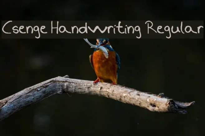 Csenge Handwriting Regular Example 3