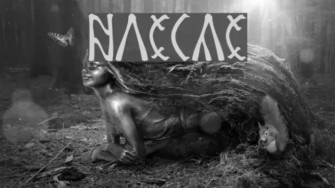 Csenge Font examples