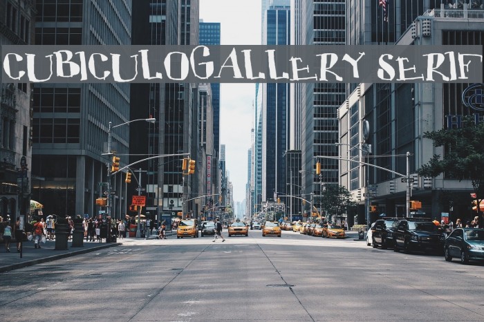 CUBICULOGALLERY SERIF Font examples