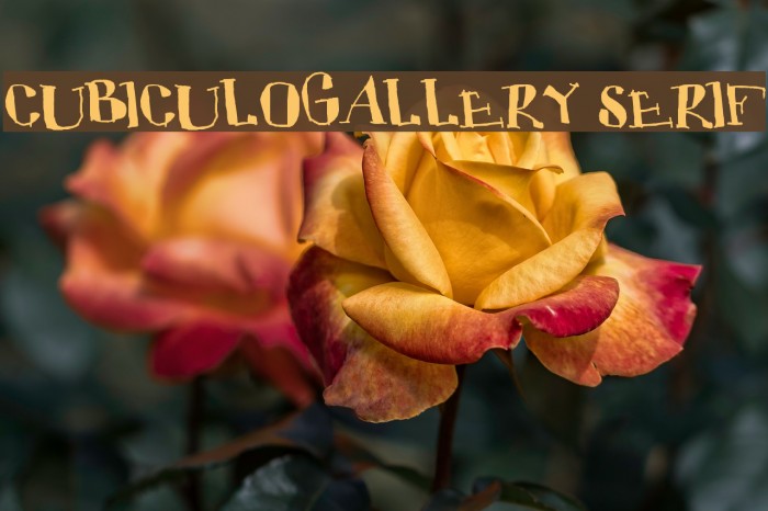 CUBICULOGALLERY SERIF Font examples