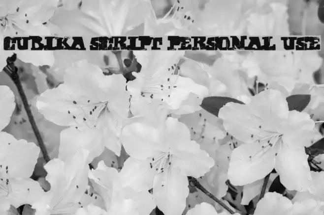 CUBIKA SCRIPT Personal Use Font examples