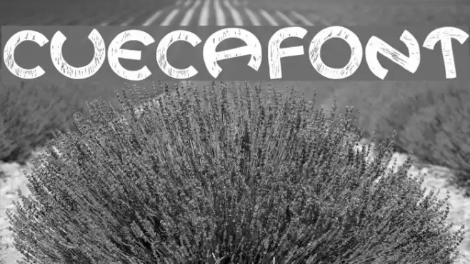 CUECAFONT Font examples