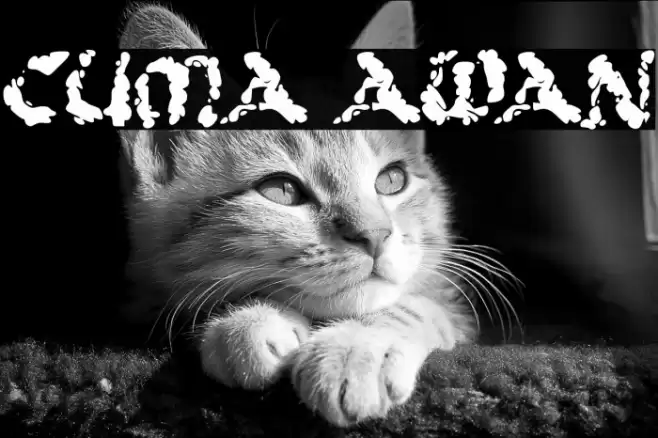 CUMA AWAN Font examples