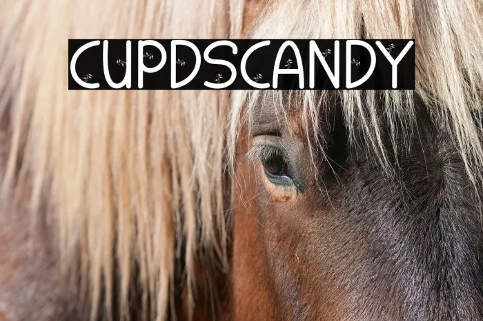CUPIDS CANDY Example 1