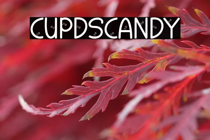 CUPIDS CANDY Example 2