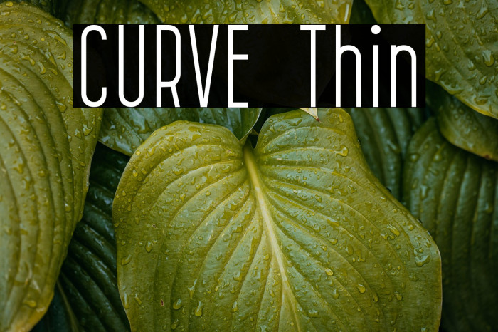CURVE Thin Example 1