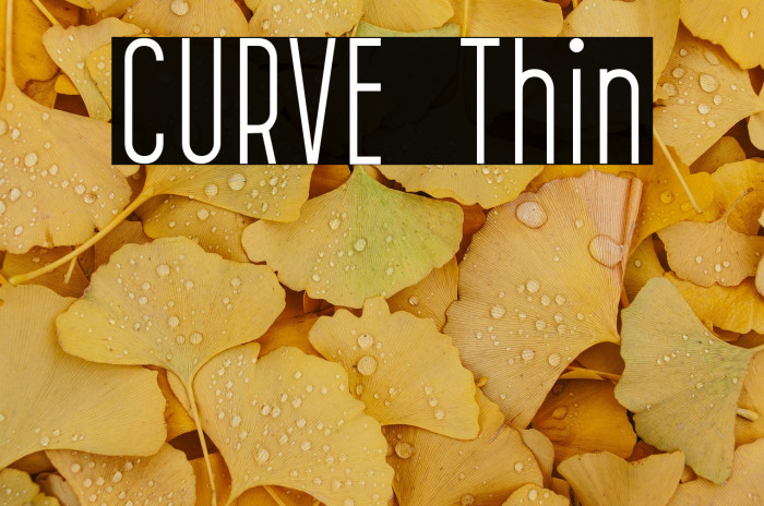 CURVE Thin Example 3